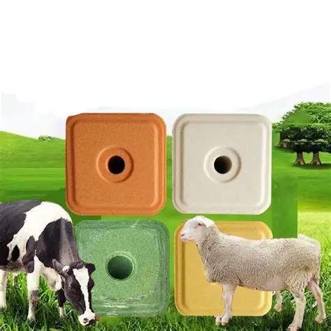 1000T Cattle Salt Blocks Press finished product 1