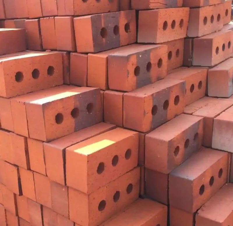 315T CSEB Clay Bricks Press finished product 1