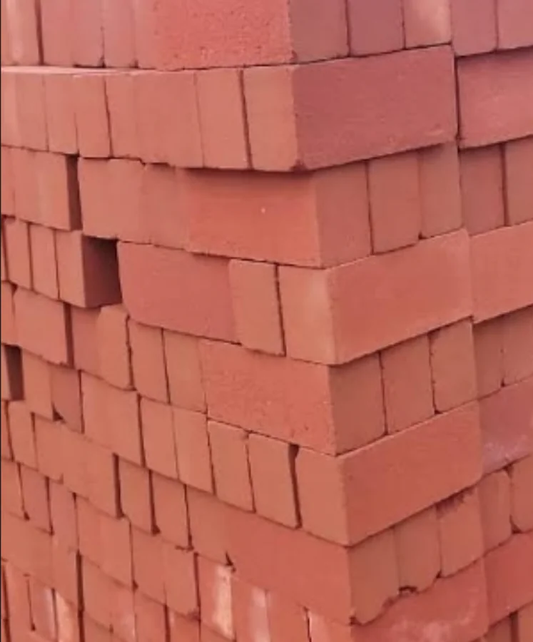 315T CSEB Clay Bricks Press finished product 5