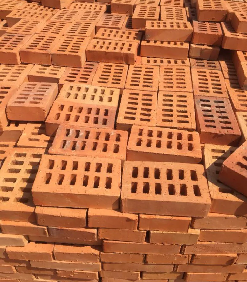 400T CSEB Clay Bricks Press finished product 6