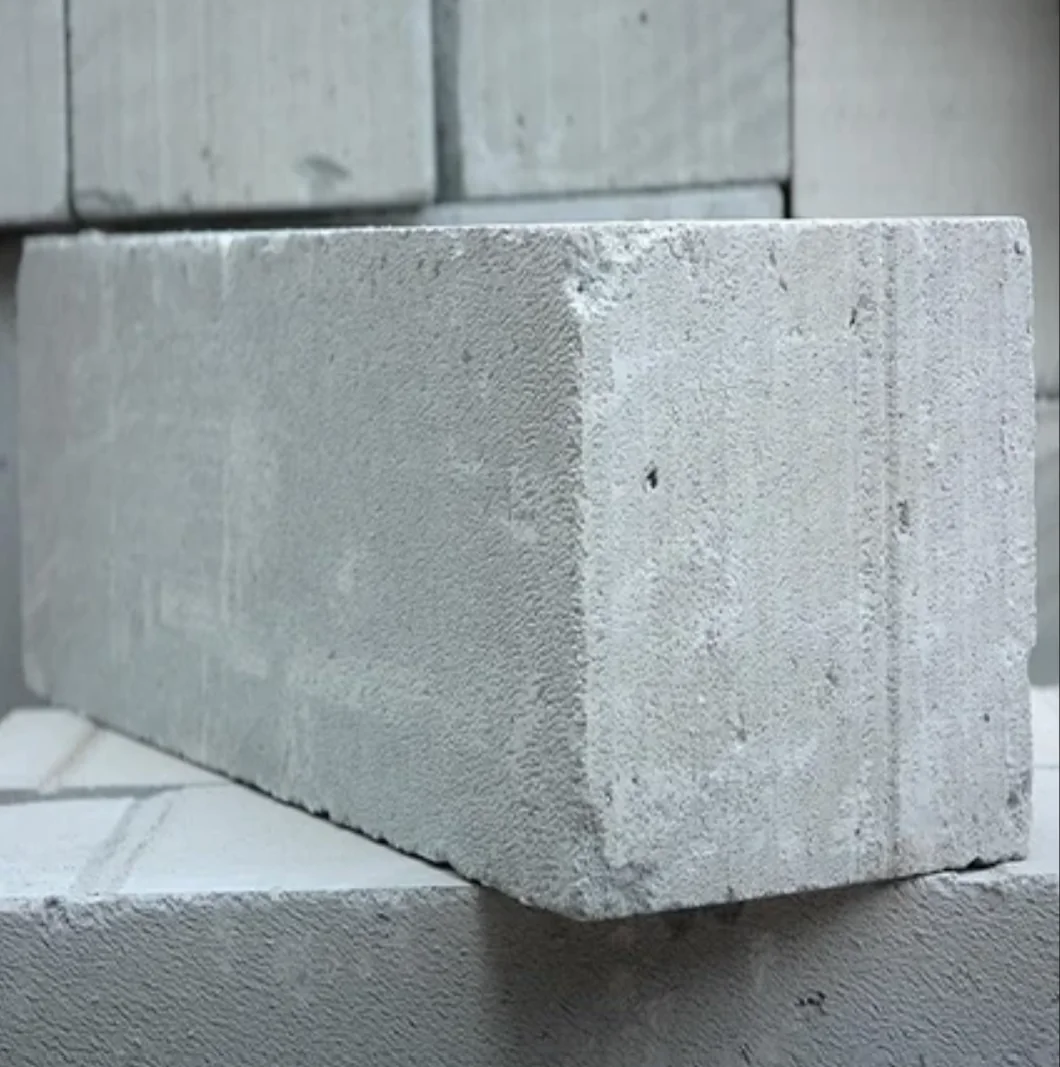 200T Bottom Pond Ash Bricks Press finished product 1