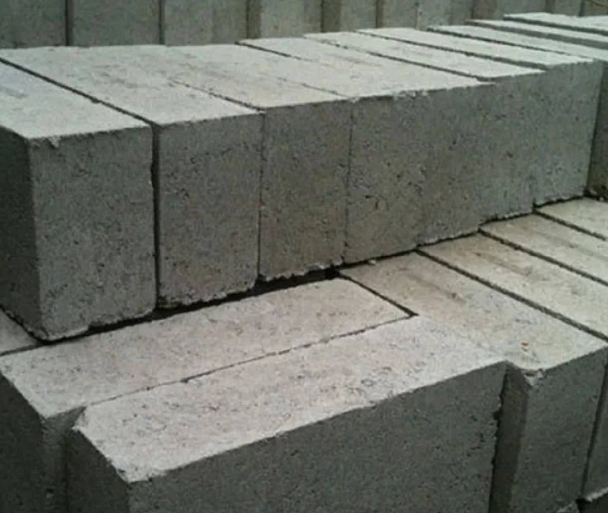 315T Bottom Pond Ash Bricks Press finished product 4