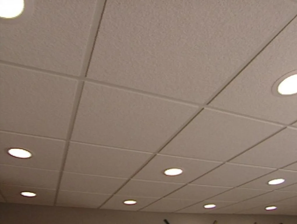 500T Fiber Ceiling Tiles Press finished product 5
